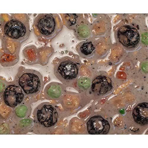 40 oz. Canine/Feline Diet N842