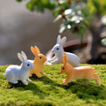 Rabbit Miniature Landscape DIY Garden Decor Ornament C652167