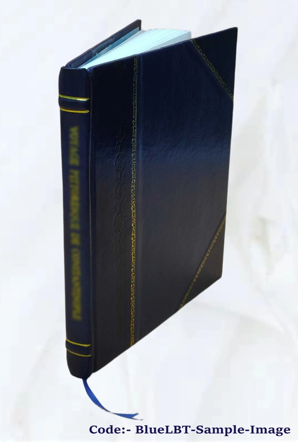 Leather Bound Book V590271