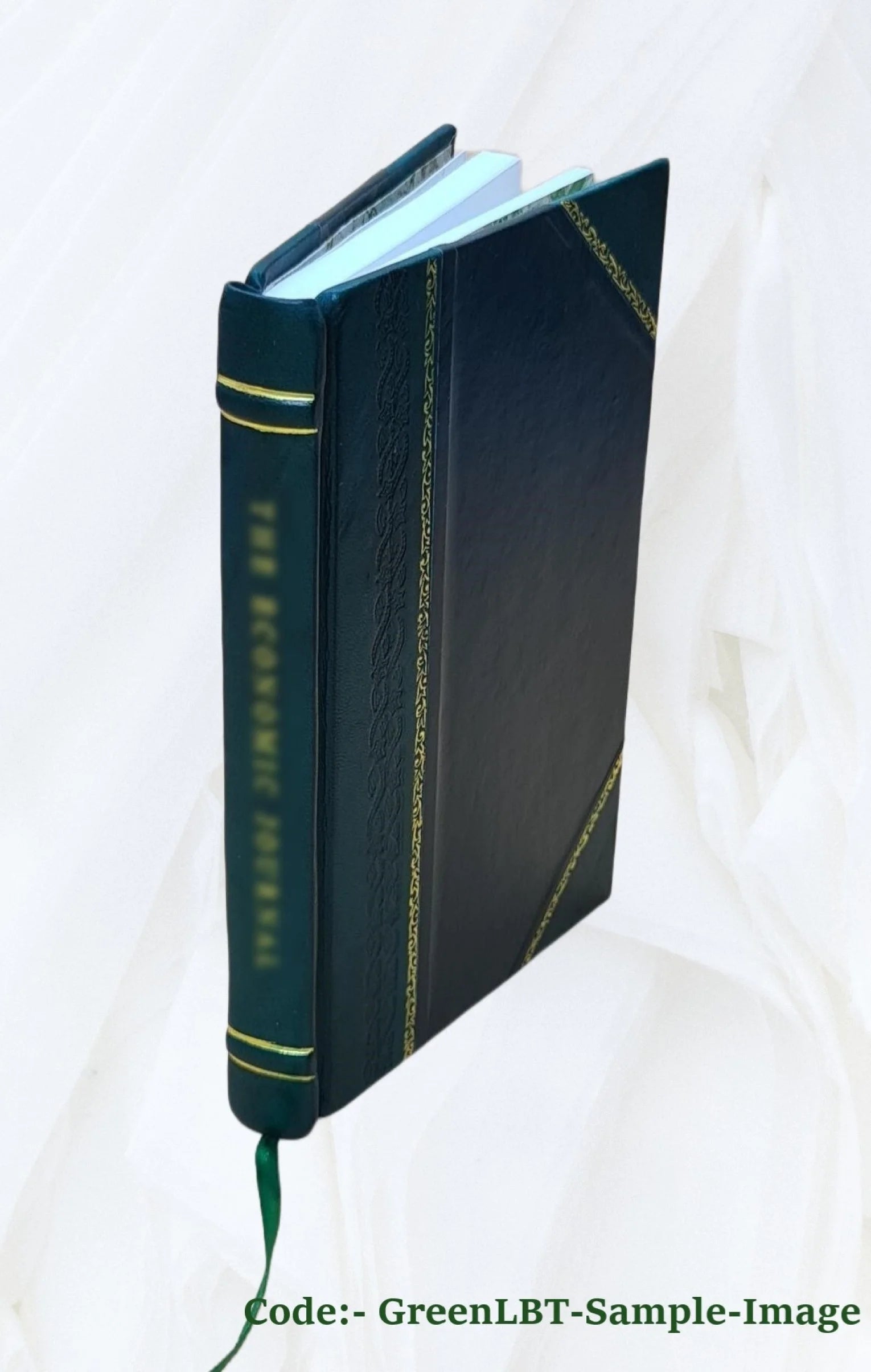 Leather Bound Book V590271