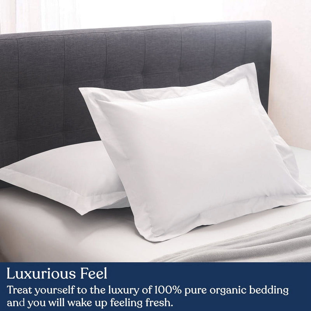 Euro Sham Pack of 2, 100% Organic Cotton, 400 Thread Count Q26791