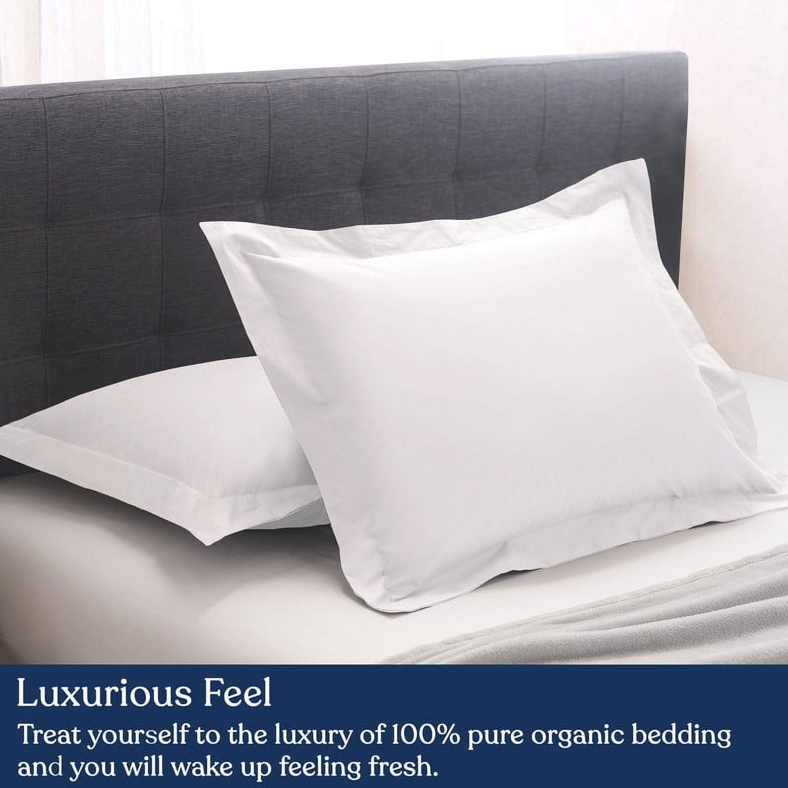 Euro Sham Pack of 2, 100% Organic Cotton, 400 Thread Count Q26791