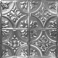 24-in x 24-in 5-Pack Brushed Satin Nickel Metal/Tin Surface-Mount Panel Ceiling Tiles P589