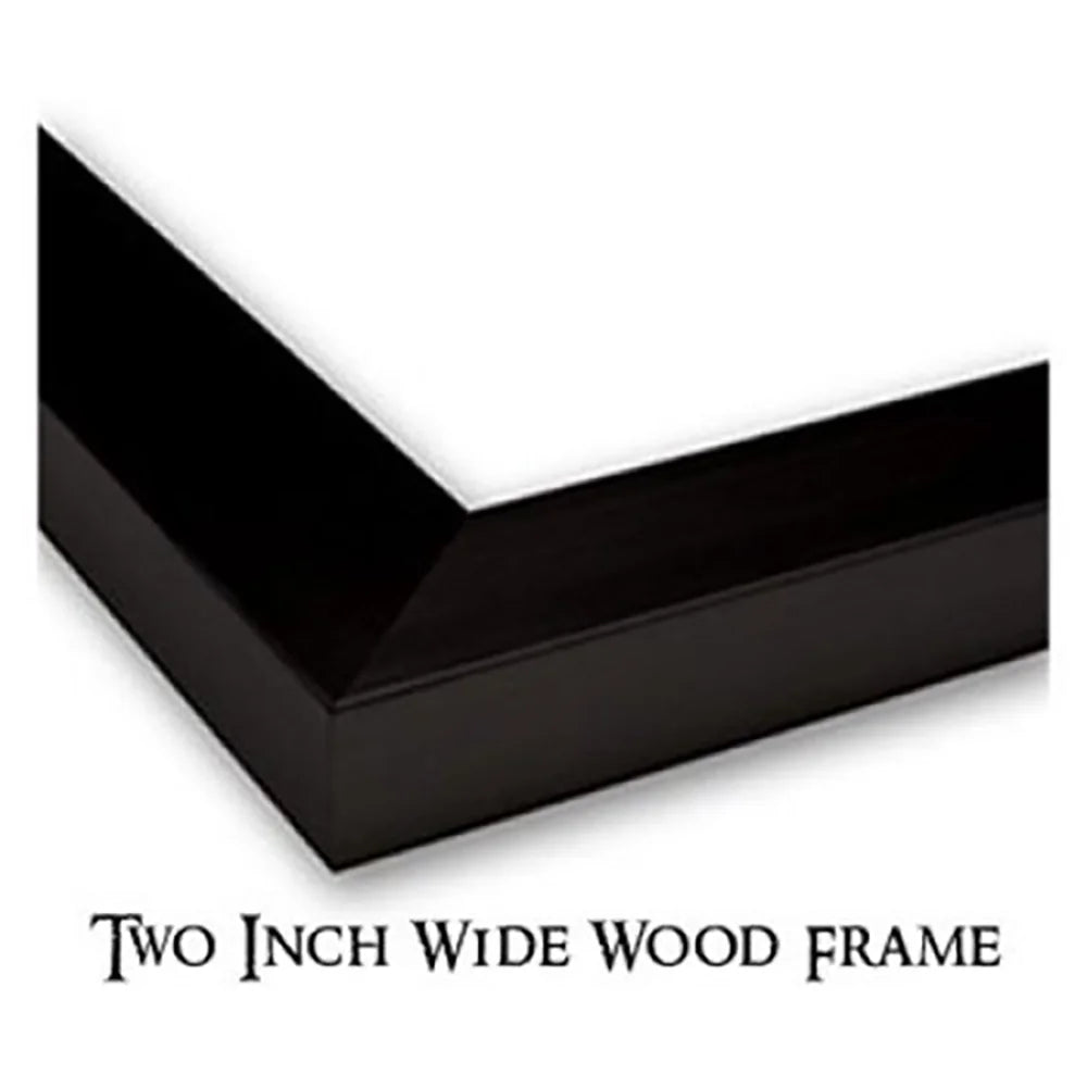 Black Modern Framed Museum Art Print K538163