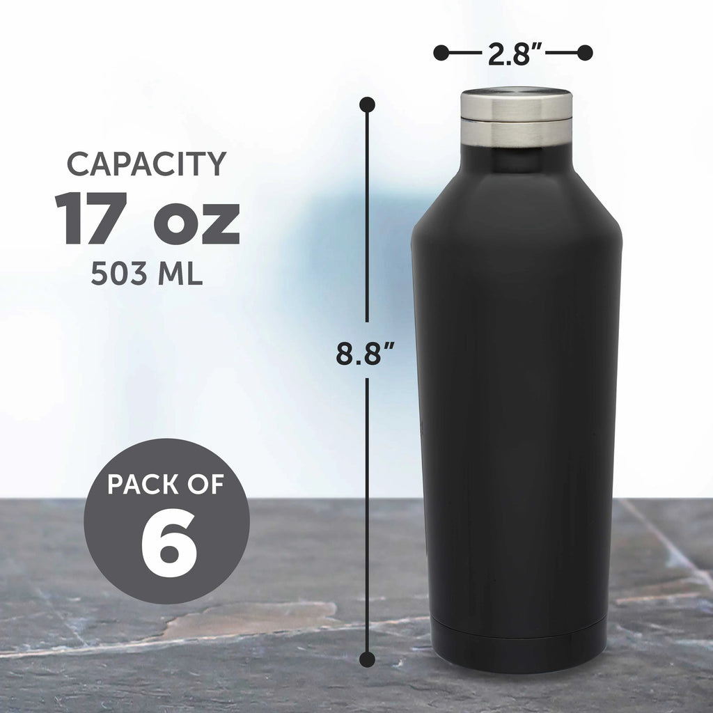 Black Stainless Steel Water Bottles 17 oz Set of 6 Double Wall F965