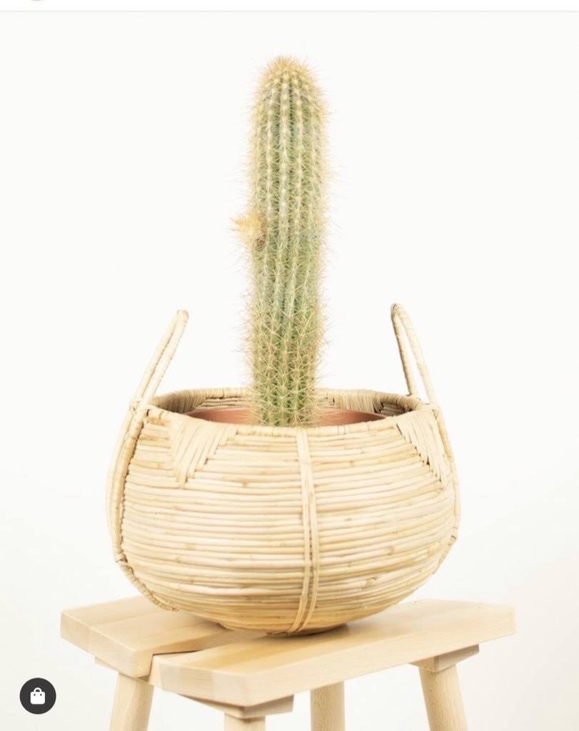 Cane Basket B2842