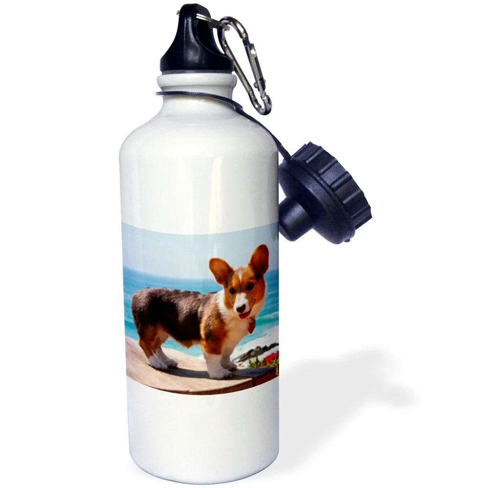 21 oz Sports Water Bottle Z180
