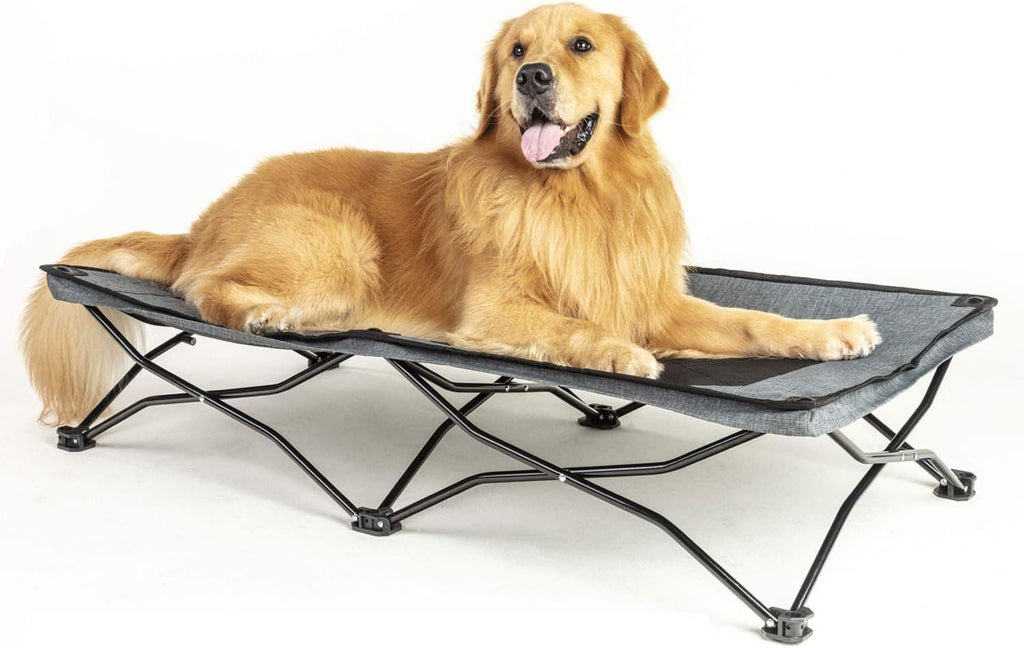 47 inches Large Elevated Dog Bed Cot with Breathable Mesh Y457