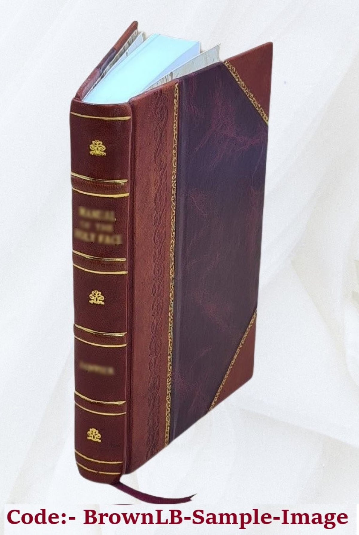 Mérimée et ses amis : avec une bibliographie des oeuvres complètes de Mérimée, 1894 [Leather Bound] J612842