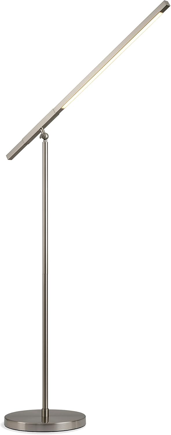 Modern LED Floor Lamp, 41-Inch High, Clear Oak B271