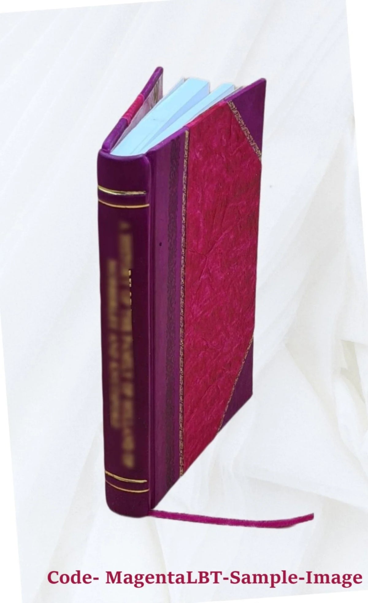Leather Bound Book V590271