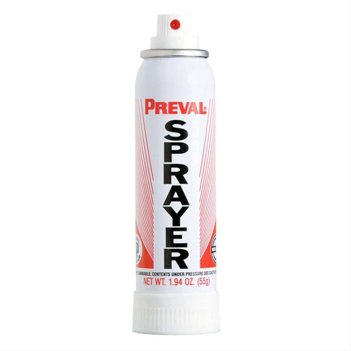 Touch Up Basecoat Spray Paint R9747