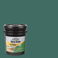 5 gal. Forest Exterior 2x Solid Stain M56792