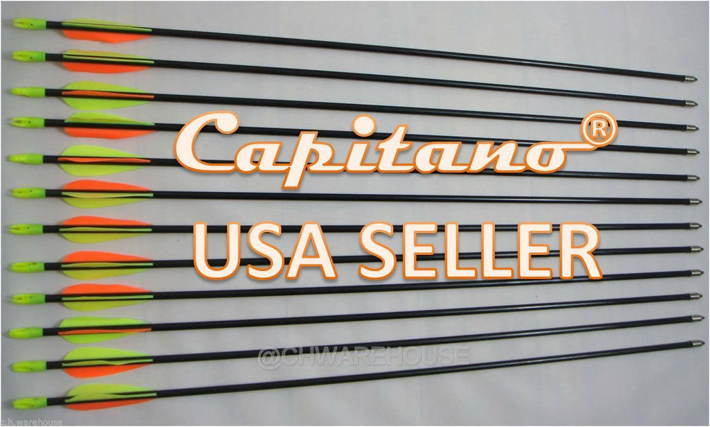 Fiberglass Target Practice Arrows with Nocks and Fletches, 61cm (1 Dozen) H239304