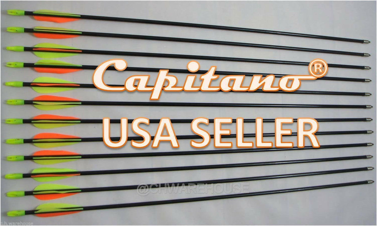 Fiberglass Target Practice Arrows with Nocks and Fletches, 61cm (1 Dozen) H239304