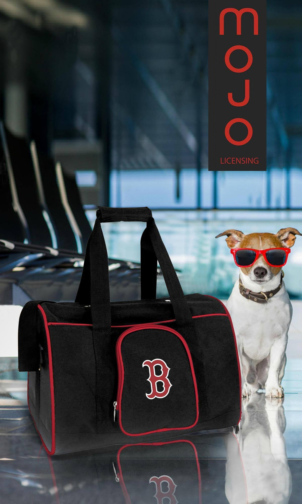 Premium Pet Carrier D41796