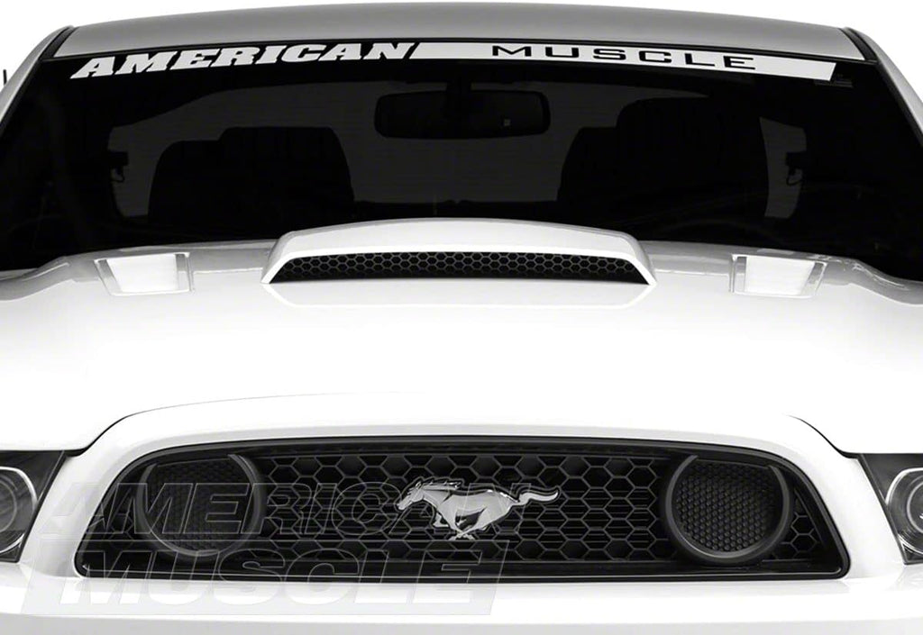 Unpainted Hood Scoop X7779