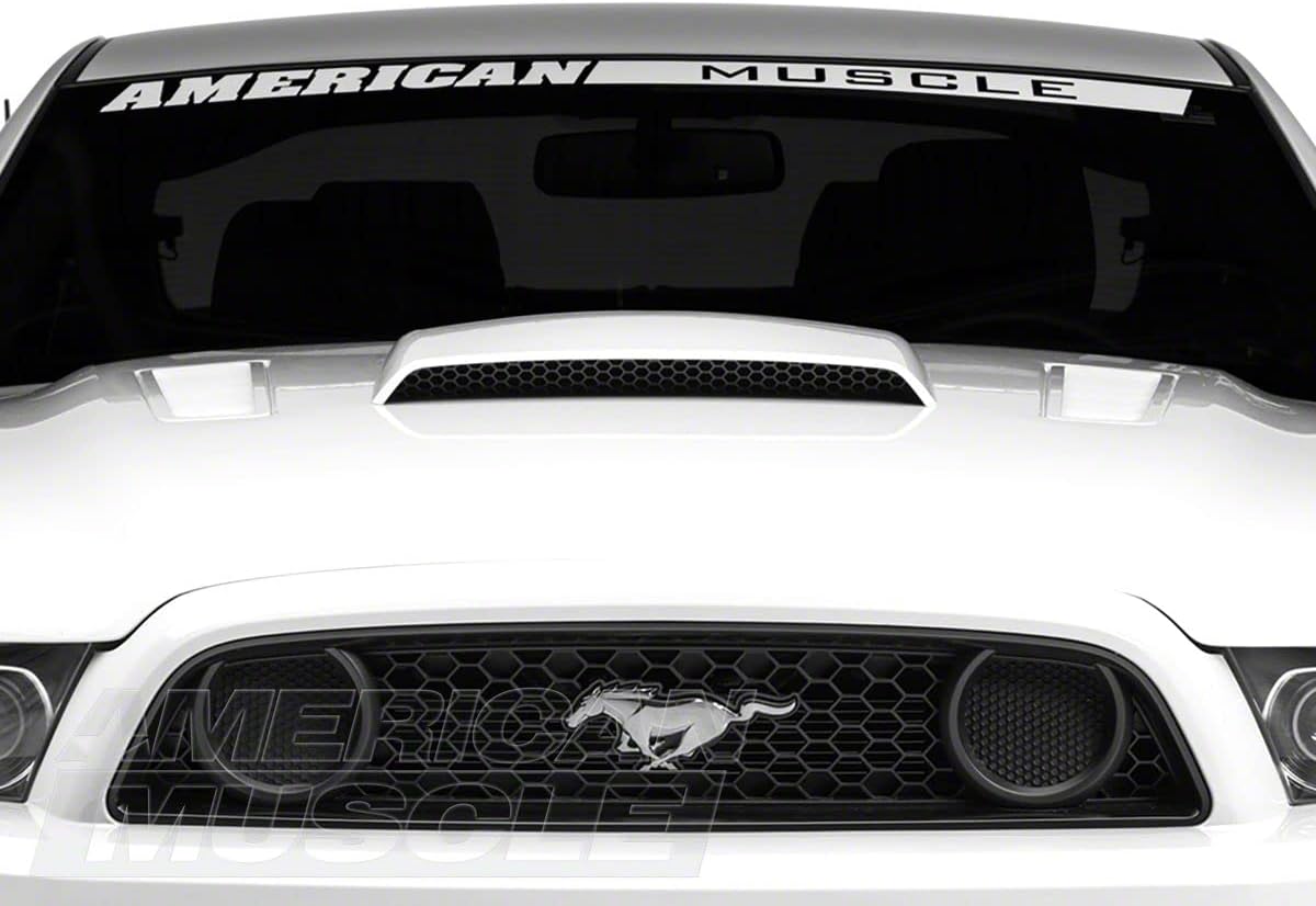 Unpainted Hood Scoop X7779
