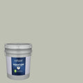 Interior Paint (5-Gallon) X109