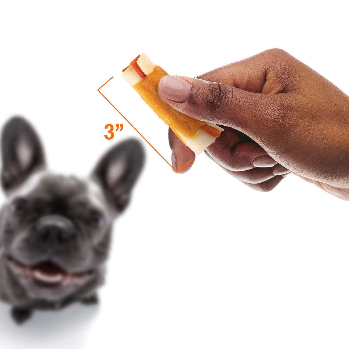 Triple Flavor Mini Rolls Dog Chews, 8 Oz P85217