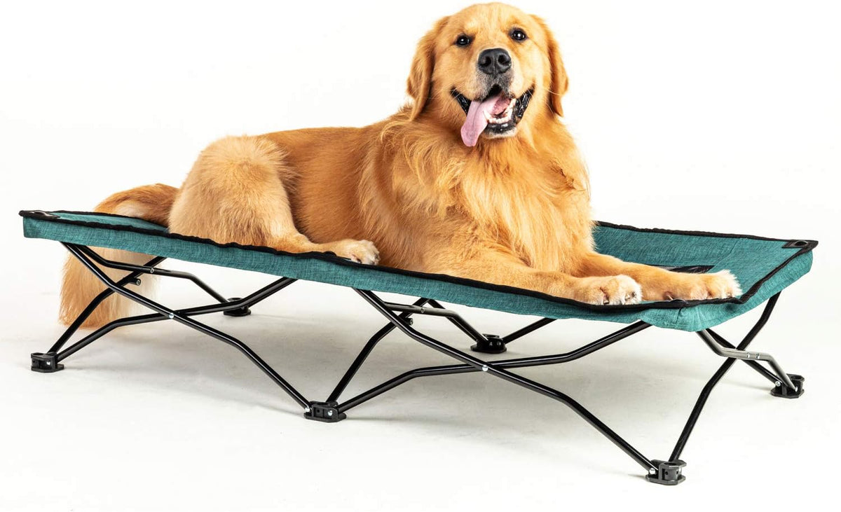 47 inches Large Elevated Dog Bed Cot with Breathable Mesh Y457