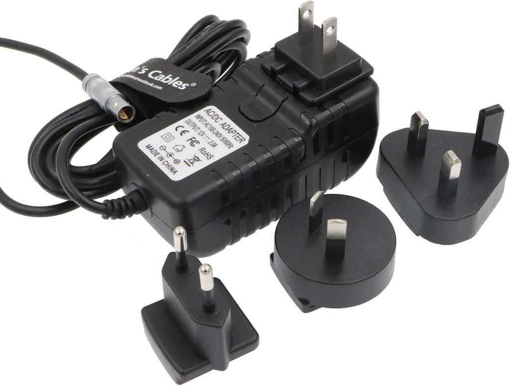 Z Cam E2 Power Adapter Cable 4 Pin to Universal AC with US UK EU AU Plugs Pack of 2 R542
