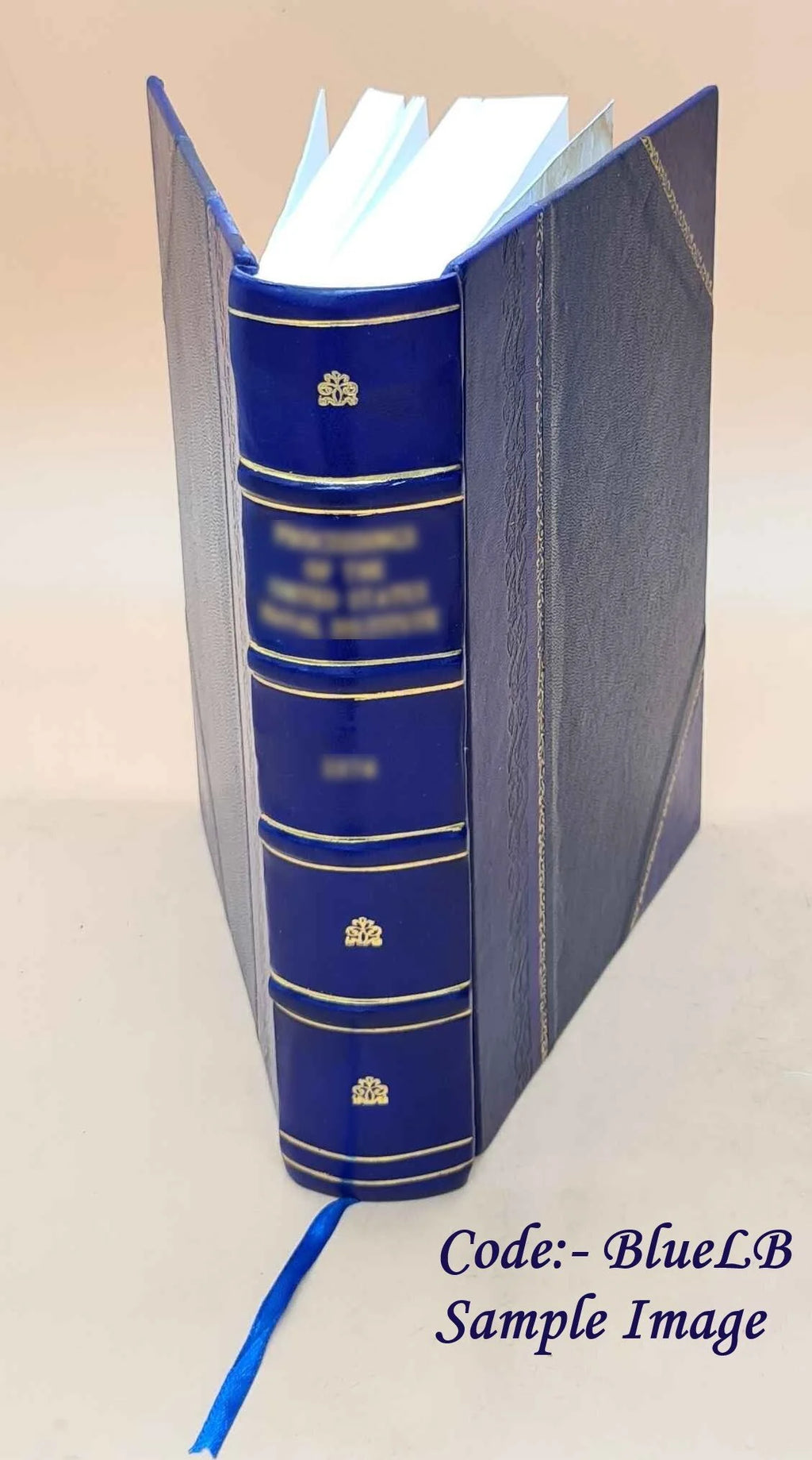 Leather Book J805996