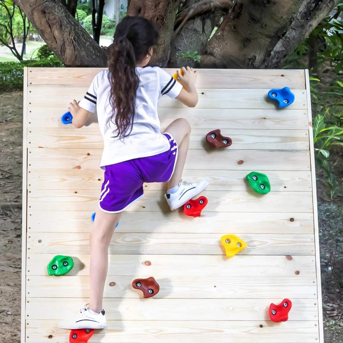 Rock Wall Climbing Holds Kit with Mounting Hardware Q1540