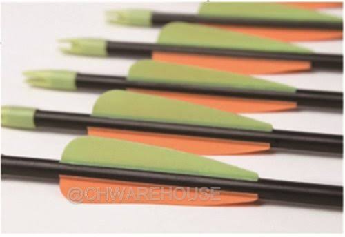 Fiberglass Target Practice Arrows with Nocks and Fletches, 61cm (1 Dozen) H239304