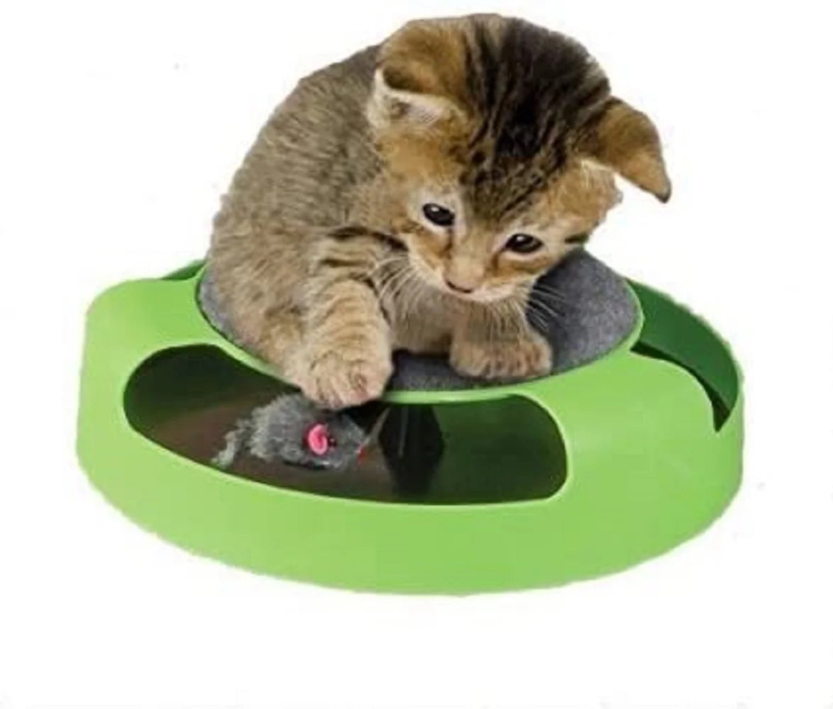 Cat Mouse Toy R722716