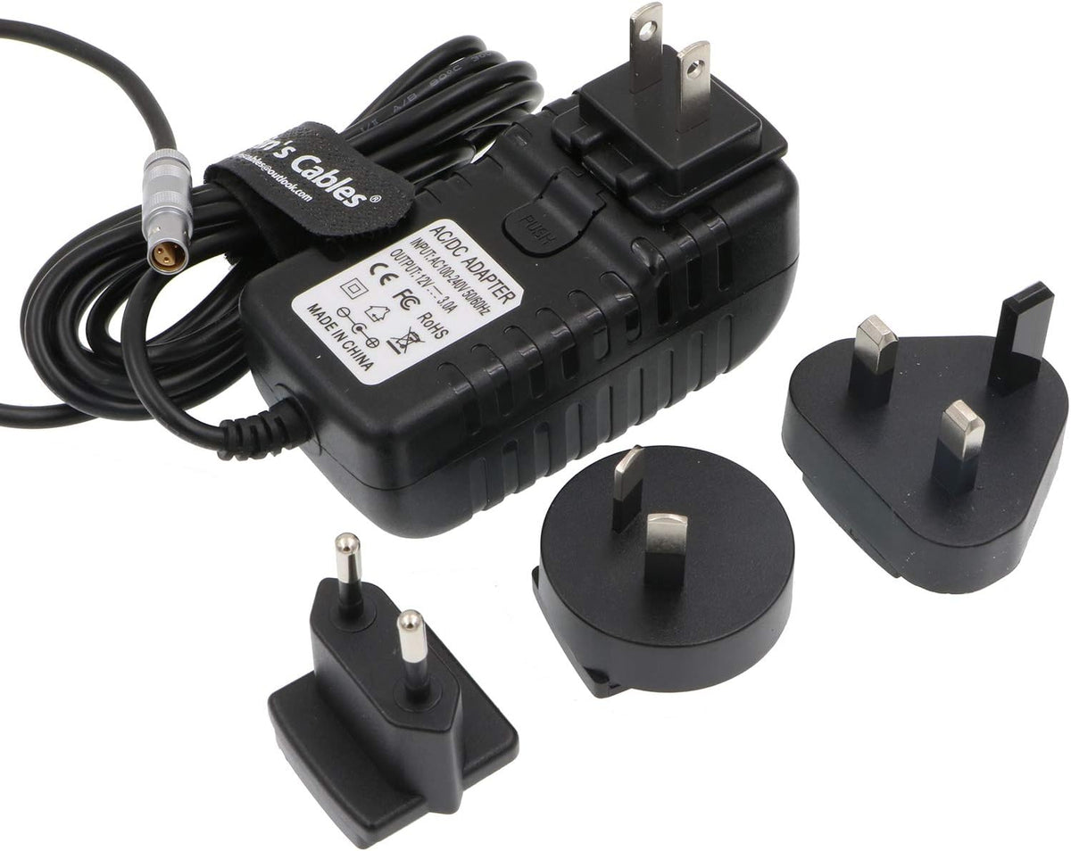 Z Cam E2 Power Adapter Cable 4 Pin to Universal AC with US UK EU AU Plugs Pack of 2 R542