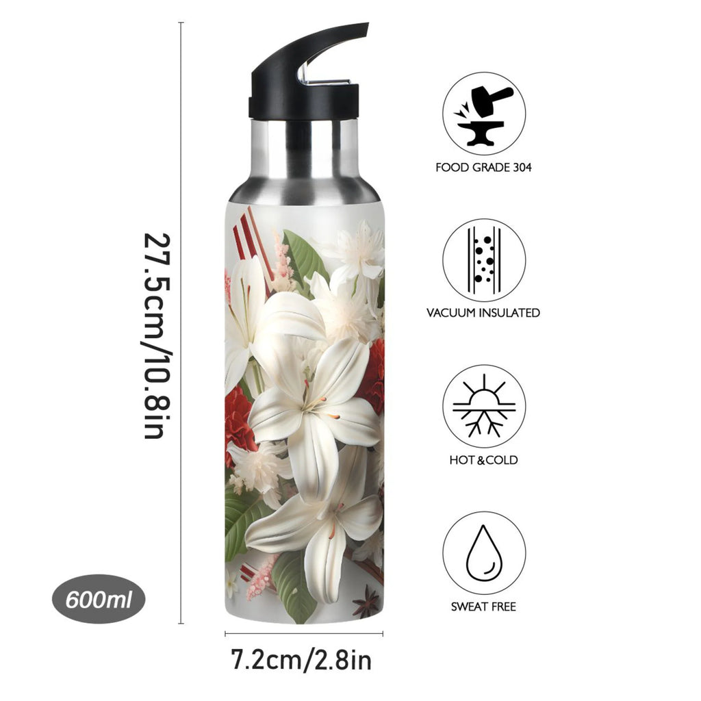 Stainless Steel Insulated Water Bottle with Straw Lid S605