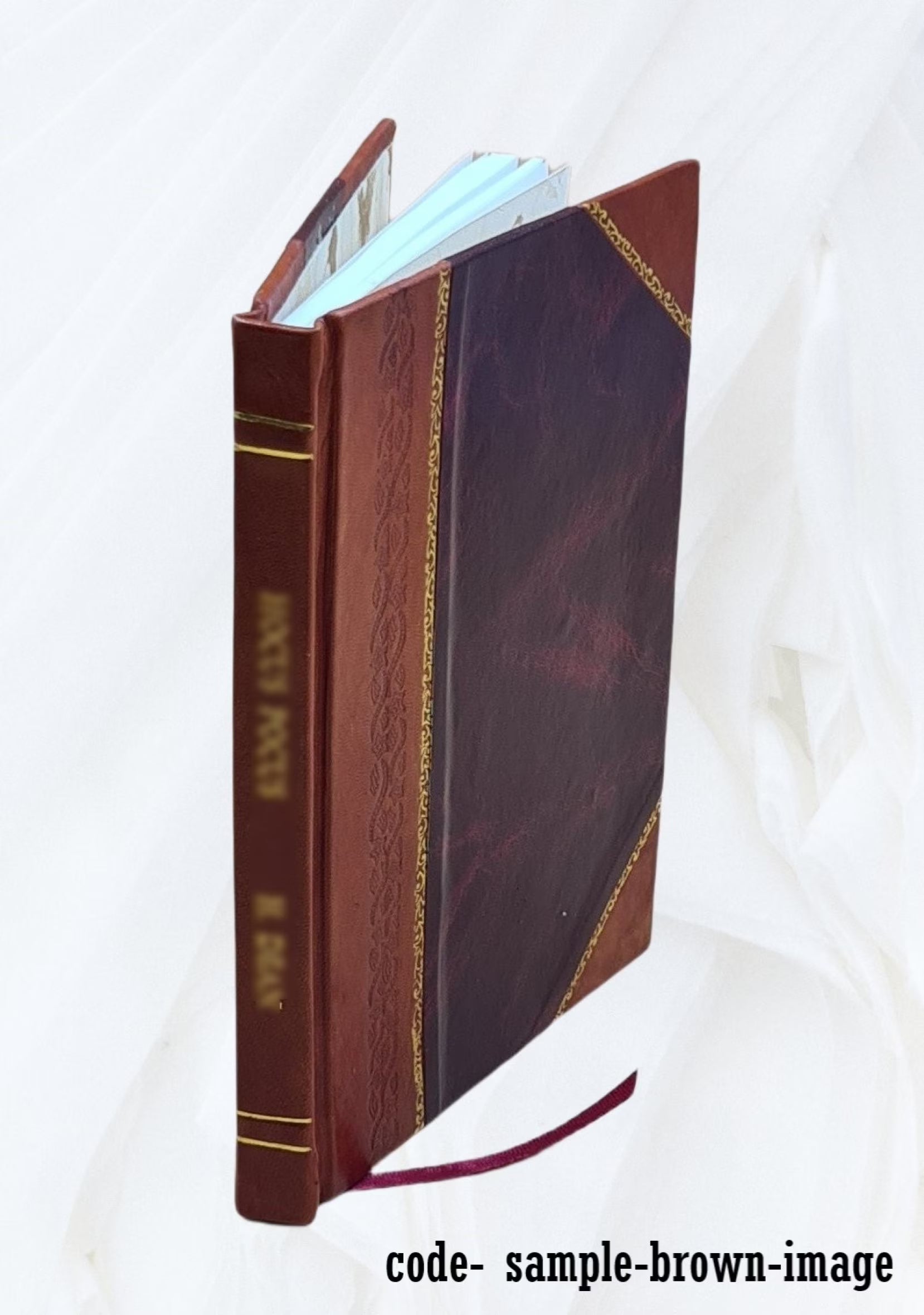 Leather Bound Book V590271