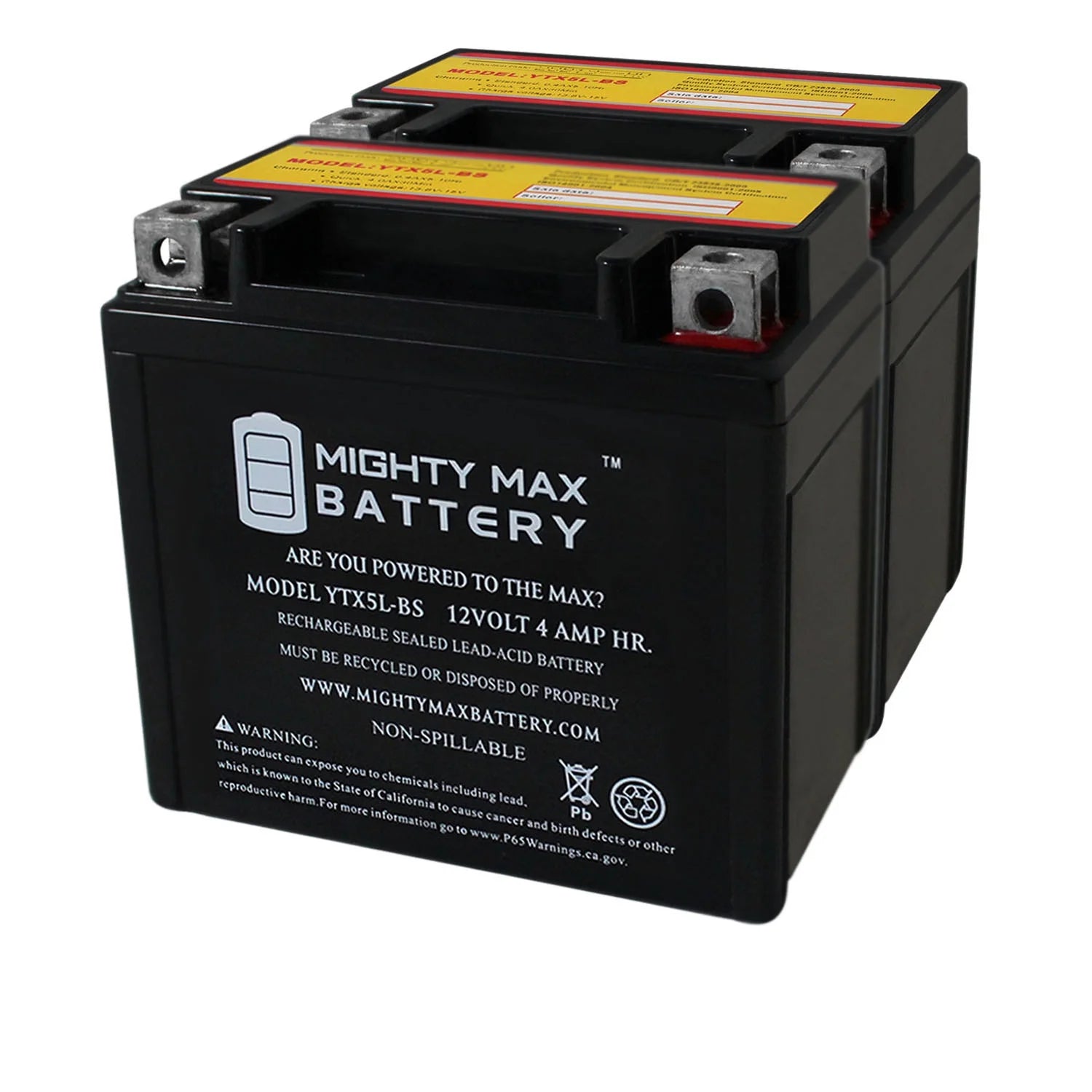 2 Pack Replacement Battery M76697