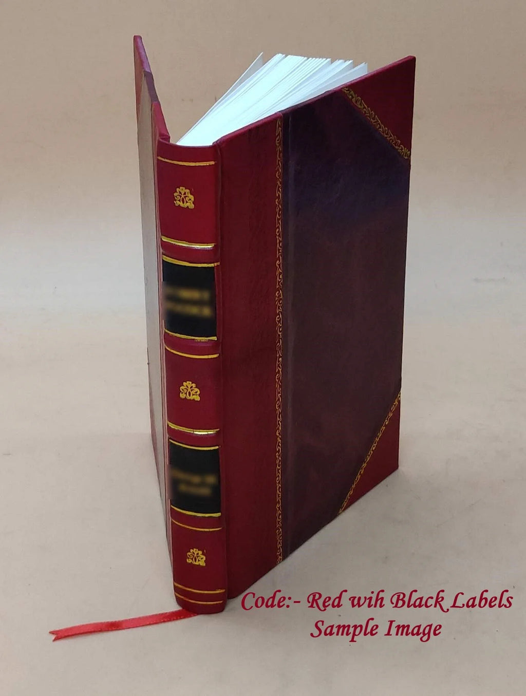 Leather Book J805996