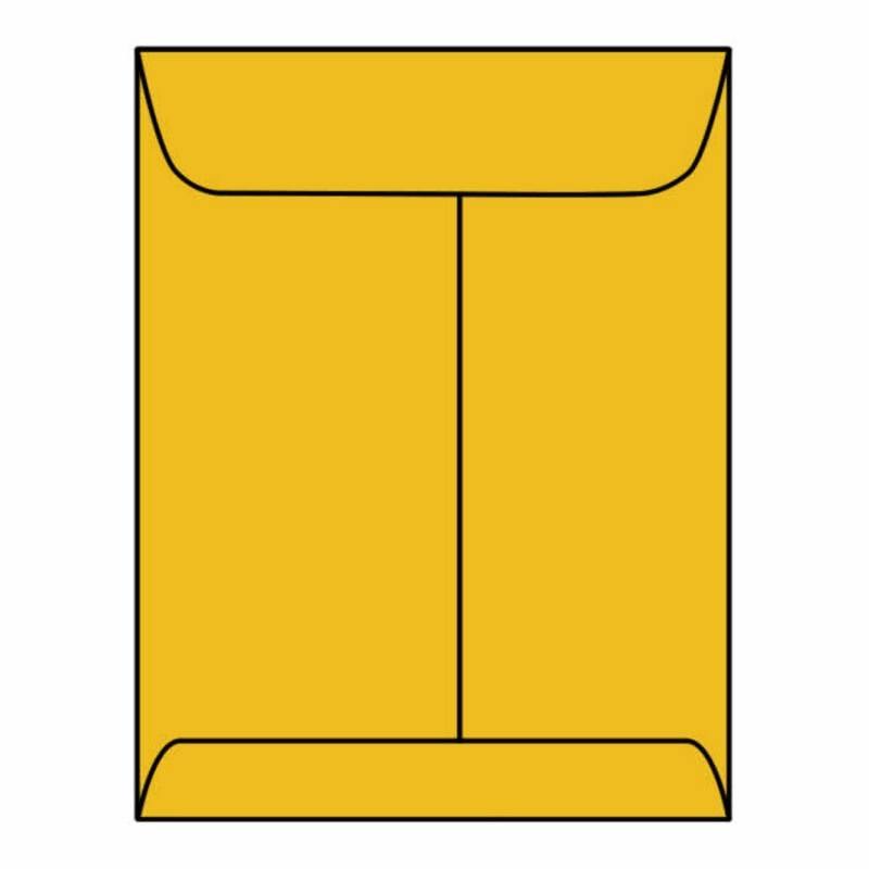 4x22 x 6-3/8 Open End Catalog Envelopes L4381