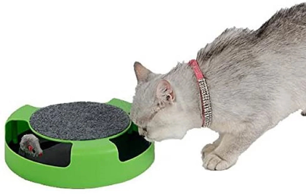 Cat Mouse Toy R722716